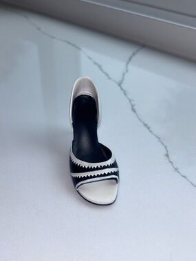 “Dressed To Impress” Just The Right Shoe by Raine